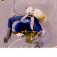 Harry gaat wel even controleren hoe ...